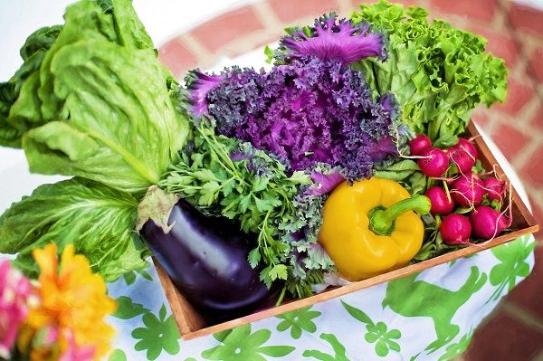 Are Organic Foods Better for Weight Loss?