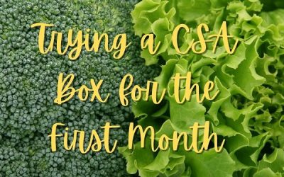 My Experience Trying a CSA Box for the First Month