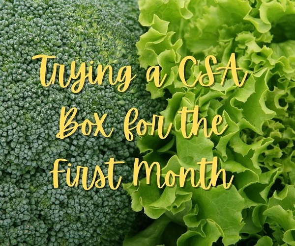 Trying a CSA Box for the First Month