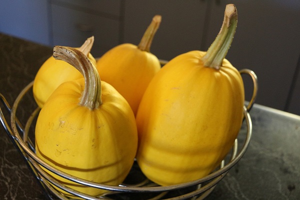 Health Benefits of Spaghetti Squash and Fall Foods