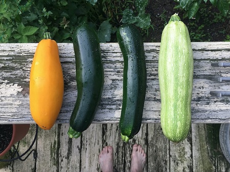 My Go-To Healthy Zucchini Recipes for Summertime